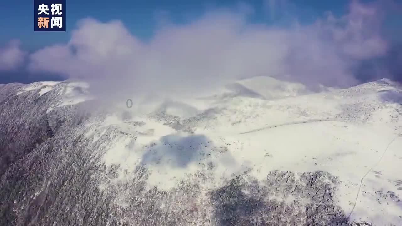 逃离石墙屋