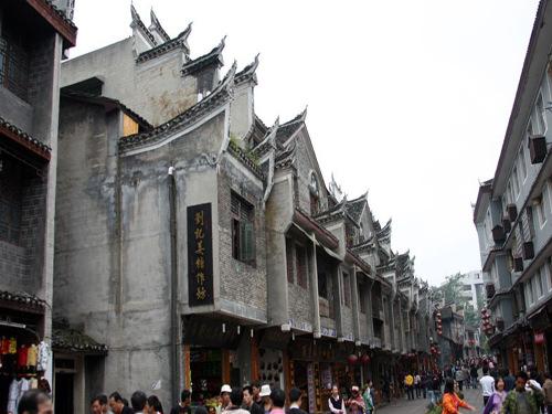 饿狮救援